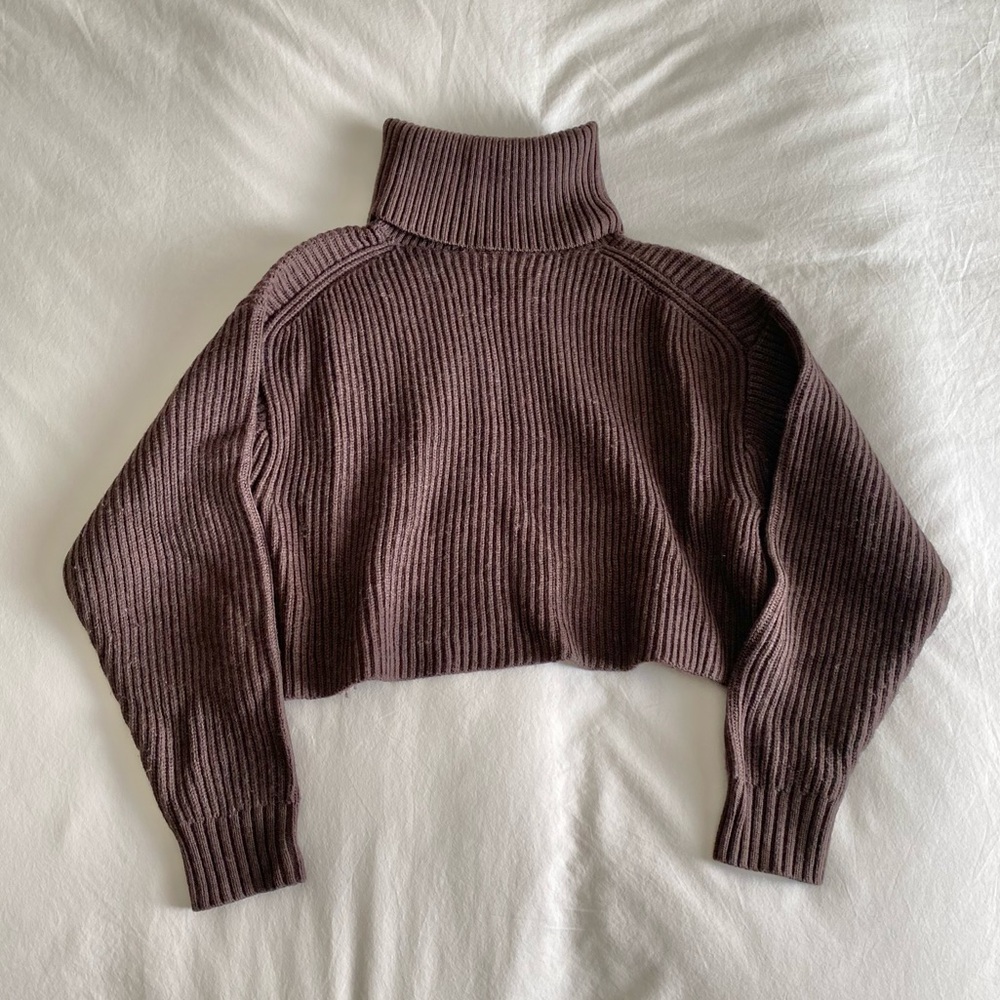 Aritzia Babaton Guell Merino Wool Cropped Sweater - Picture 5 of 8